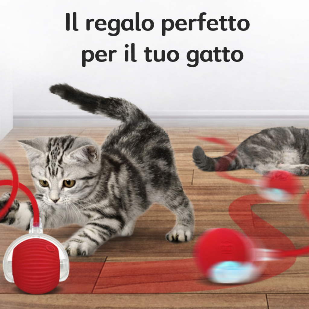 Palla Interattiva per Gatti