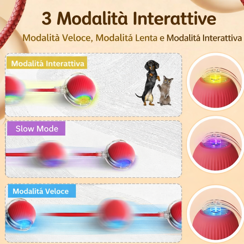 Palla Interattiva per Gatti